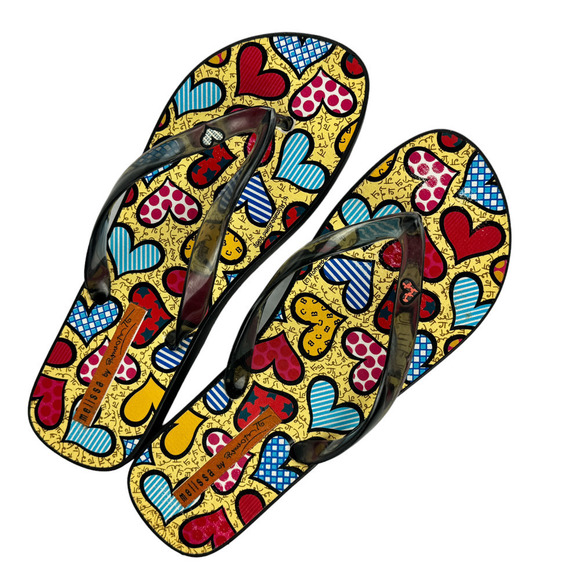 Mellisa by Romero Brito Shoes - Mellisa by Romero Brito Flip Flops Women's Size 10 Multicolor Brazilian Artist
